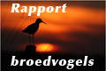 broedvogels